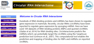 circinteractome