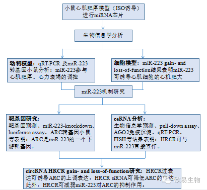 circRNA1