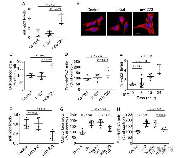 circRNA3