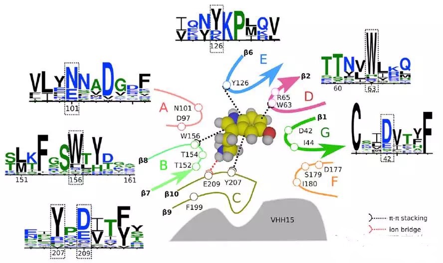 circRNA7