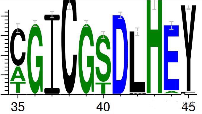 circRNA9