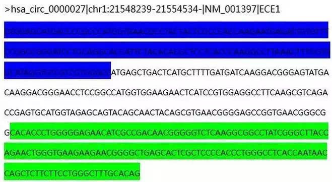 circrna2