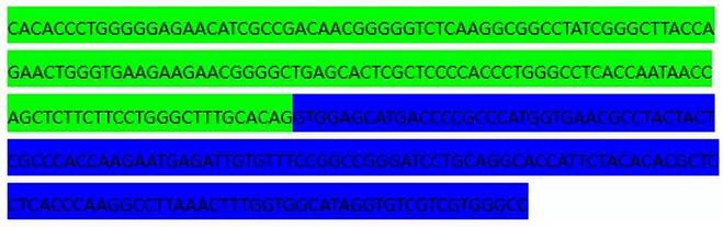 circrna4