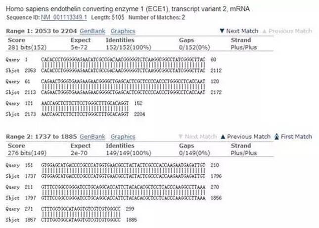 circrna5