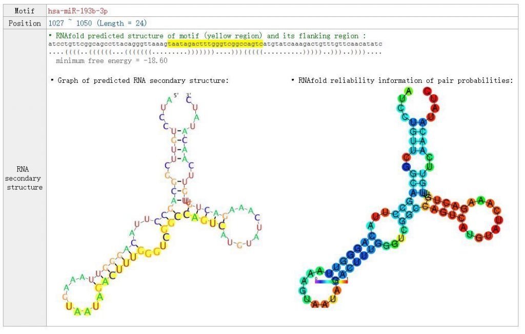 circrna5