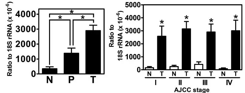 circRNA5