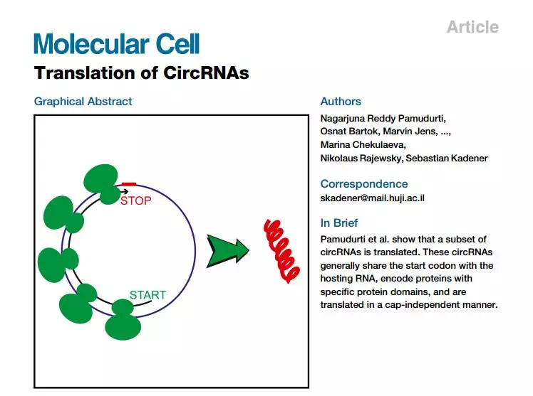 circRNA1