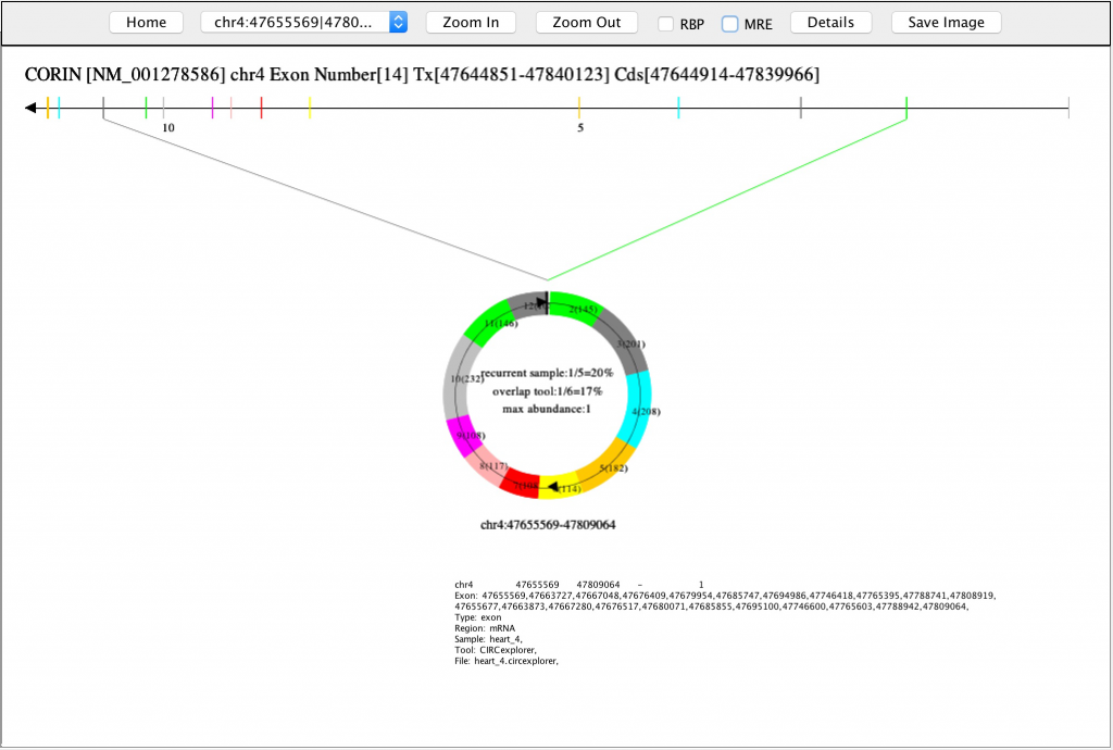 circVIEW3