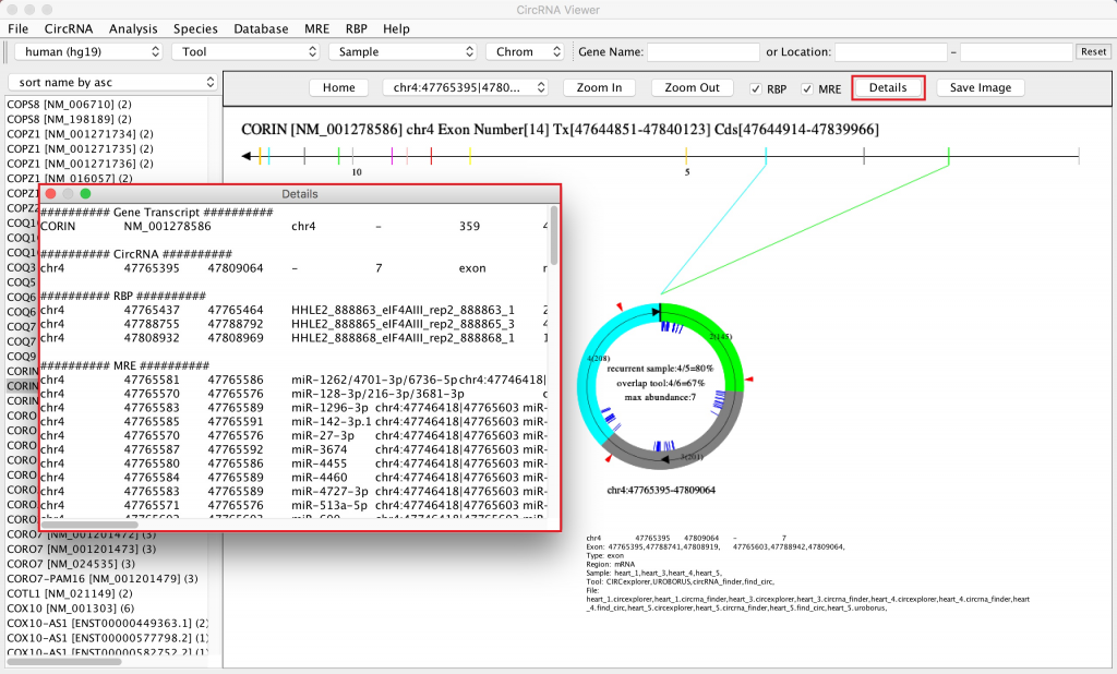 circVIEW6