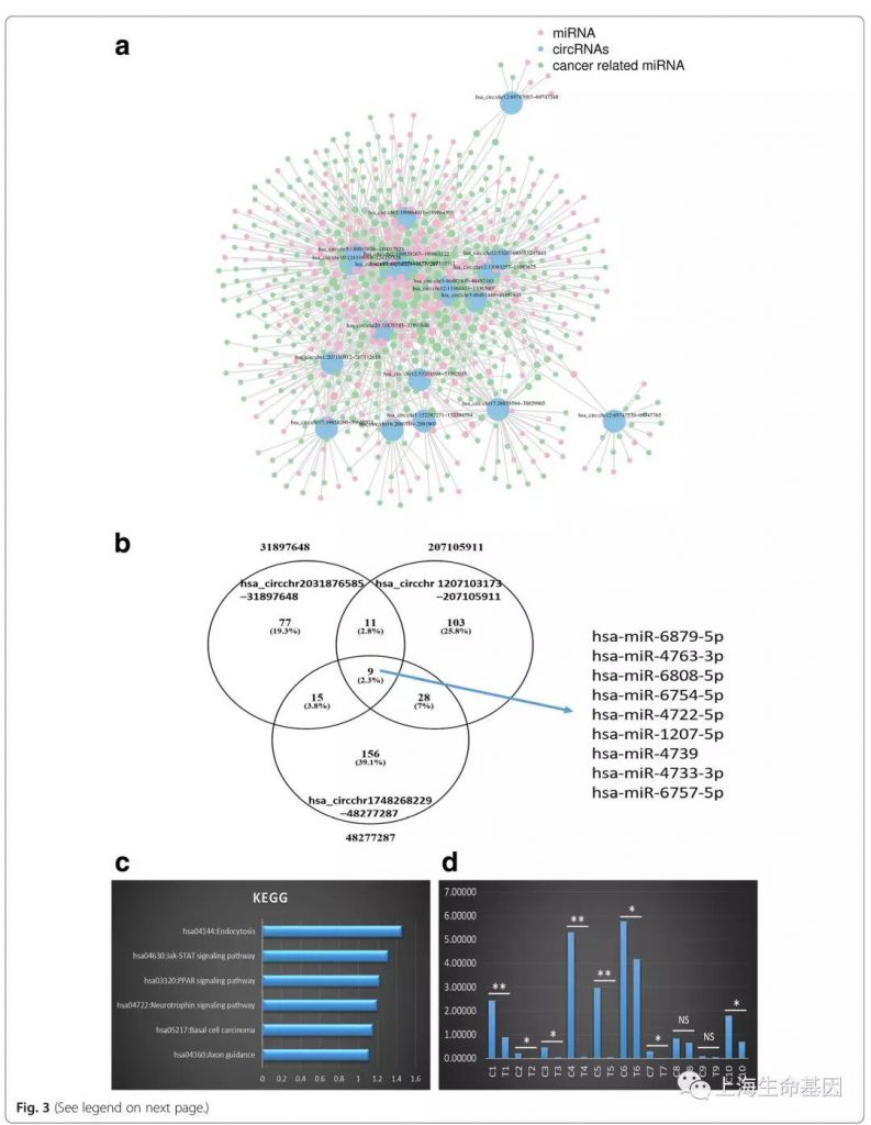 circrna seq10