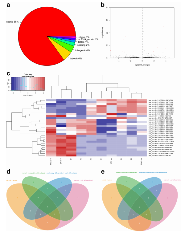 circrna seq4