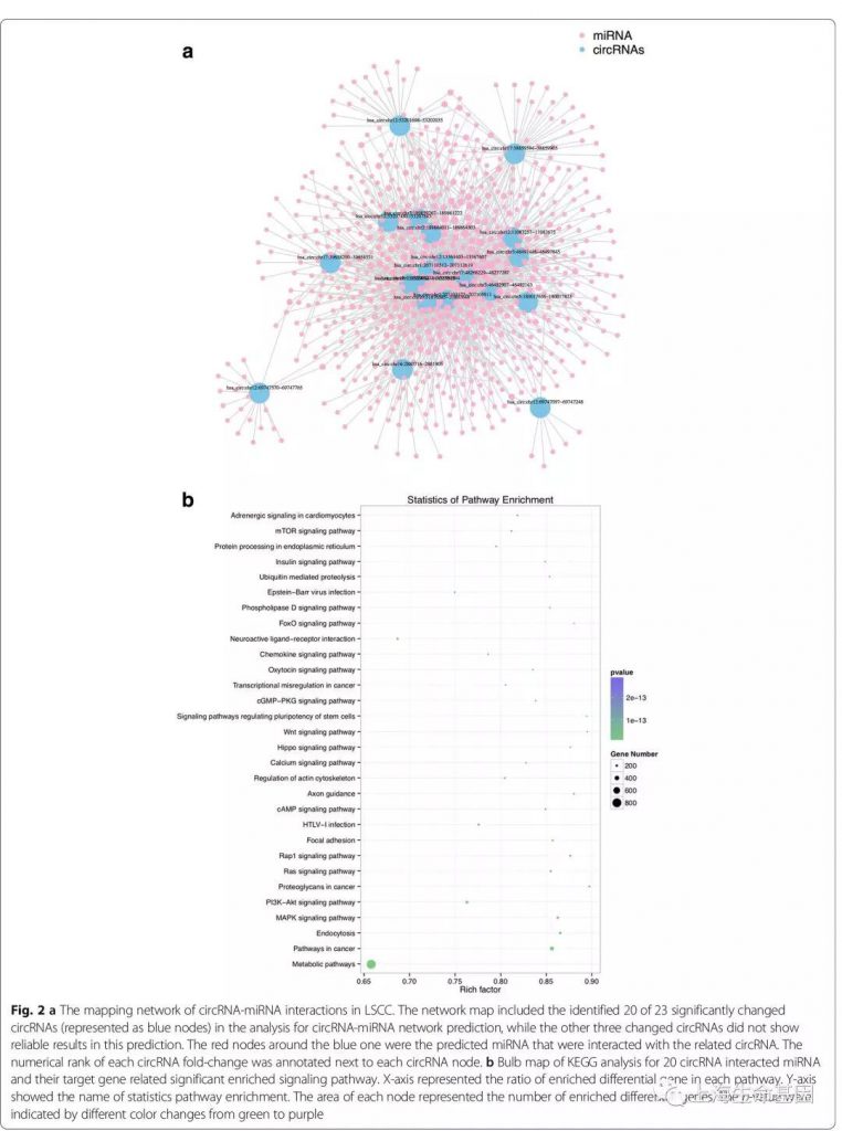 circrna seq8