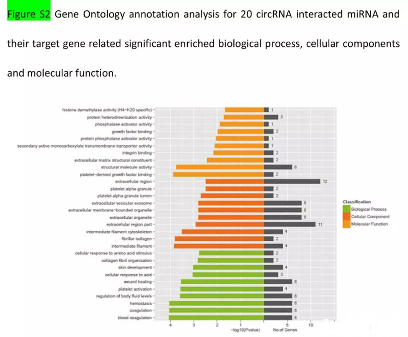 circrna seq8