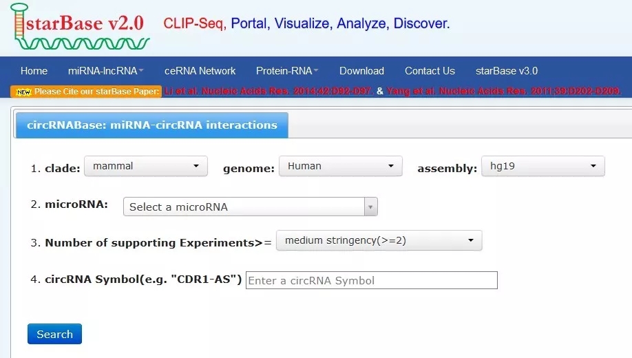 9.webp