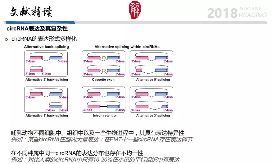 4.webp