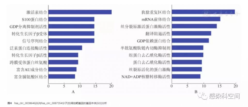 7.webp